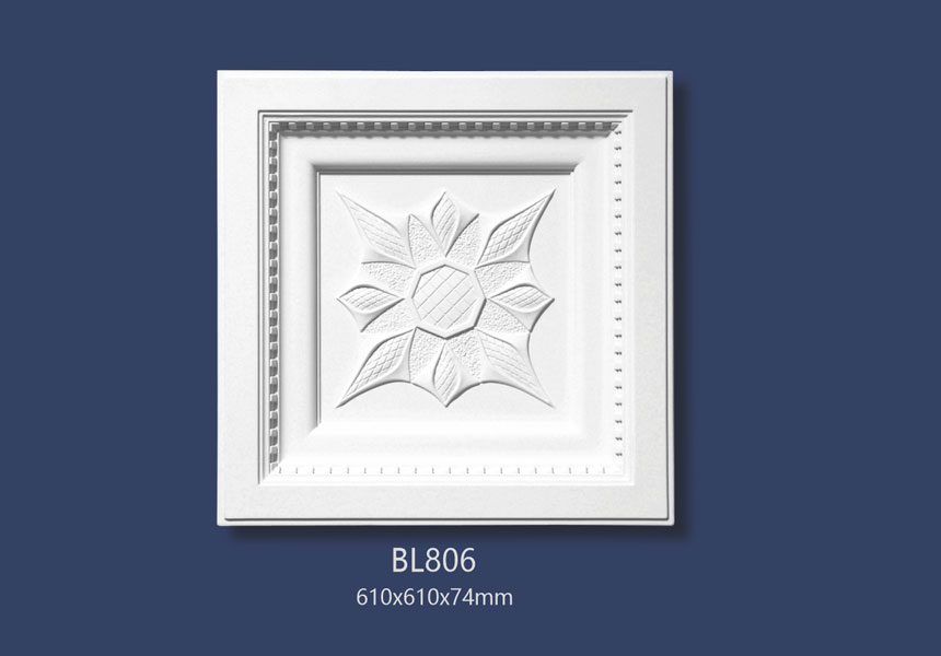 BL806