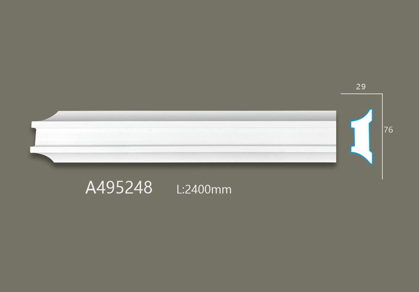 A495248