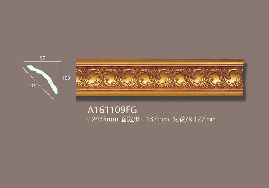 A161109FG